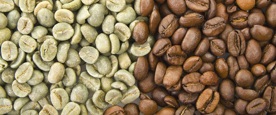 ▷ All Caffeine ethiopian beans Creator ☕ Models