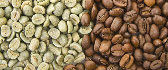 Fun Ways To Perk storing green coffee beans Up Your Home Brew