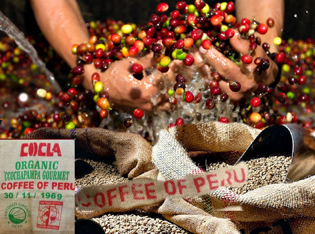 Peruvian Fair Trade Organic Apurimac Coffee