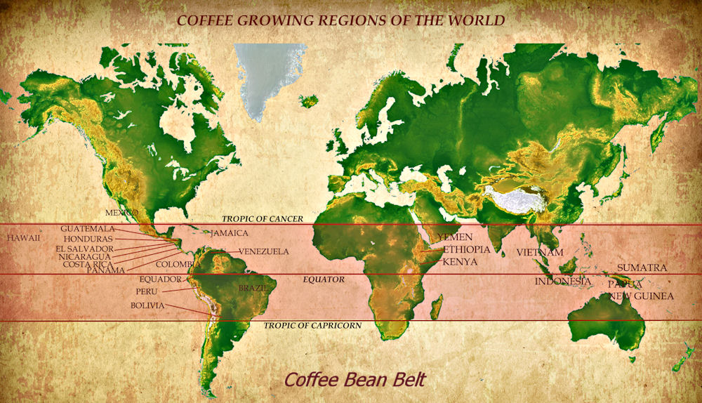 History of Coffee – Tibaagan Coffees