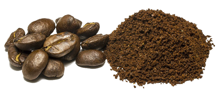 coffeebeans99